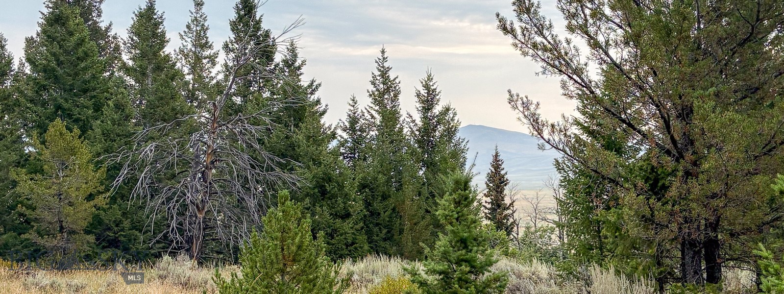Tbd S Valley Road Property Photo 8