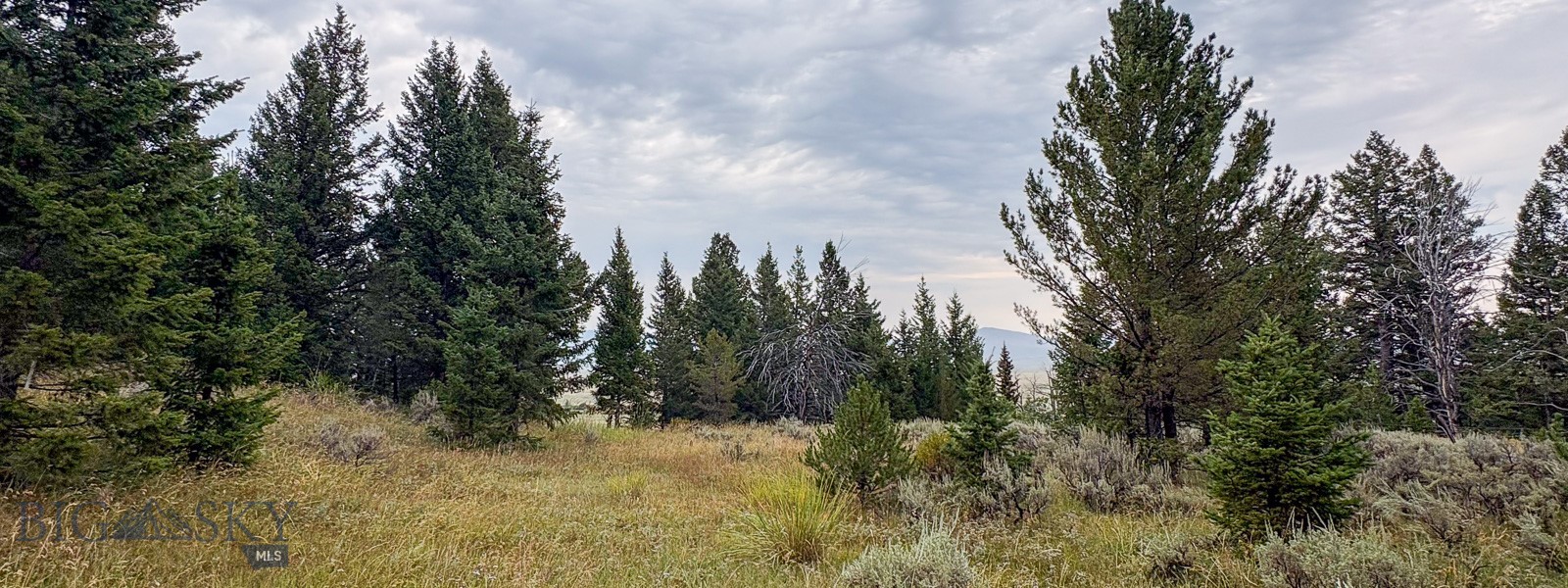 Tbd S Valley Road Property Photo 9