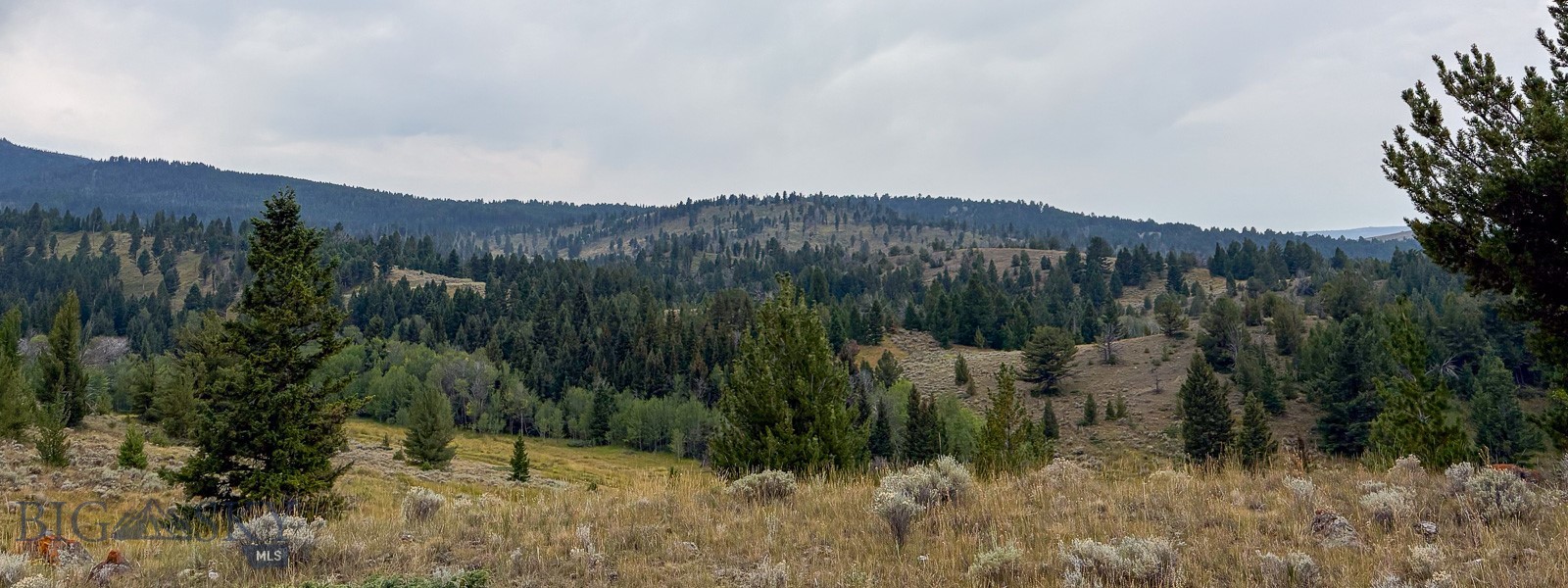 Tbd S Valley Road Property Photo 22