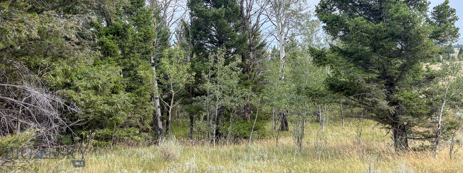 Tbd S Valley Road Property Photo 29