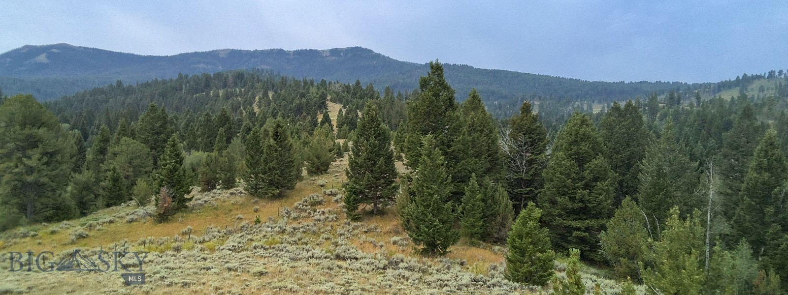 Tbd S Valley Road Property Photo 47