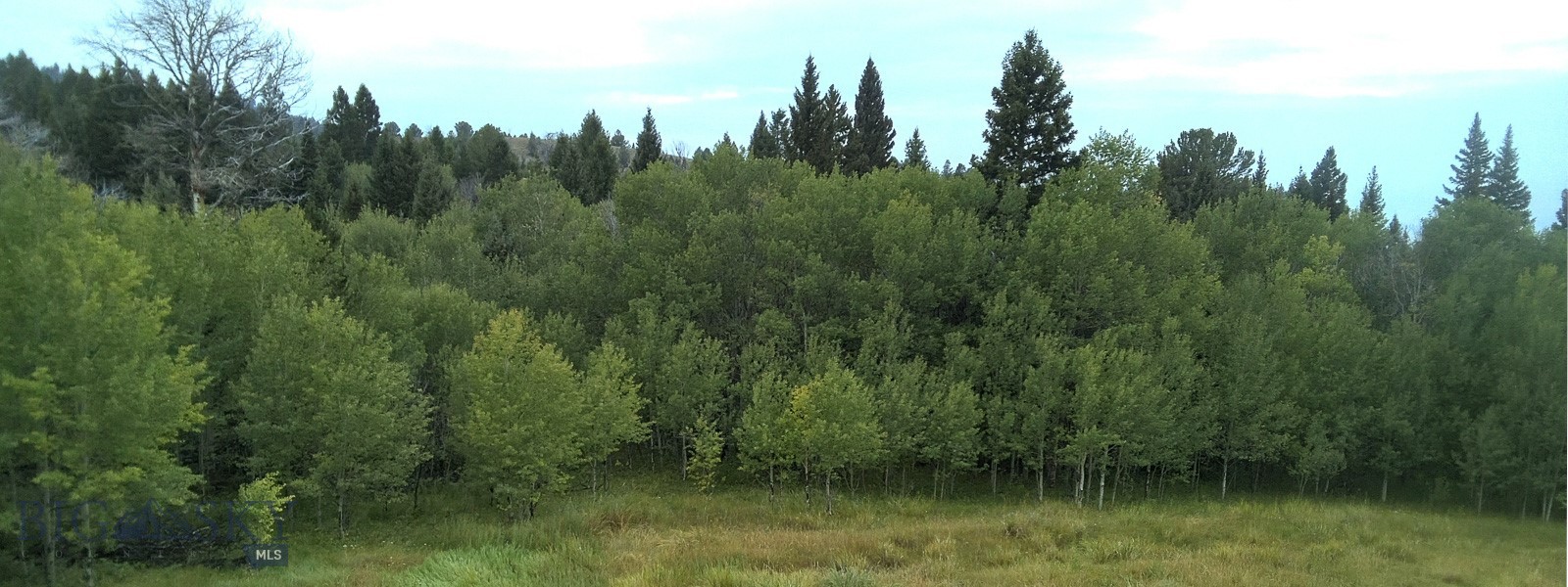 Tbd S Valley Road Property Photo 54