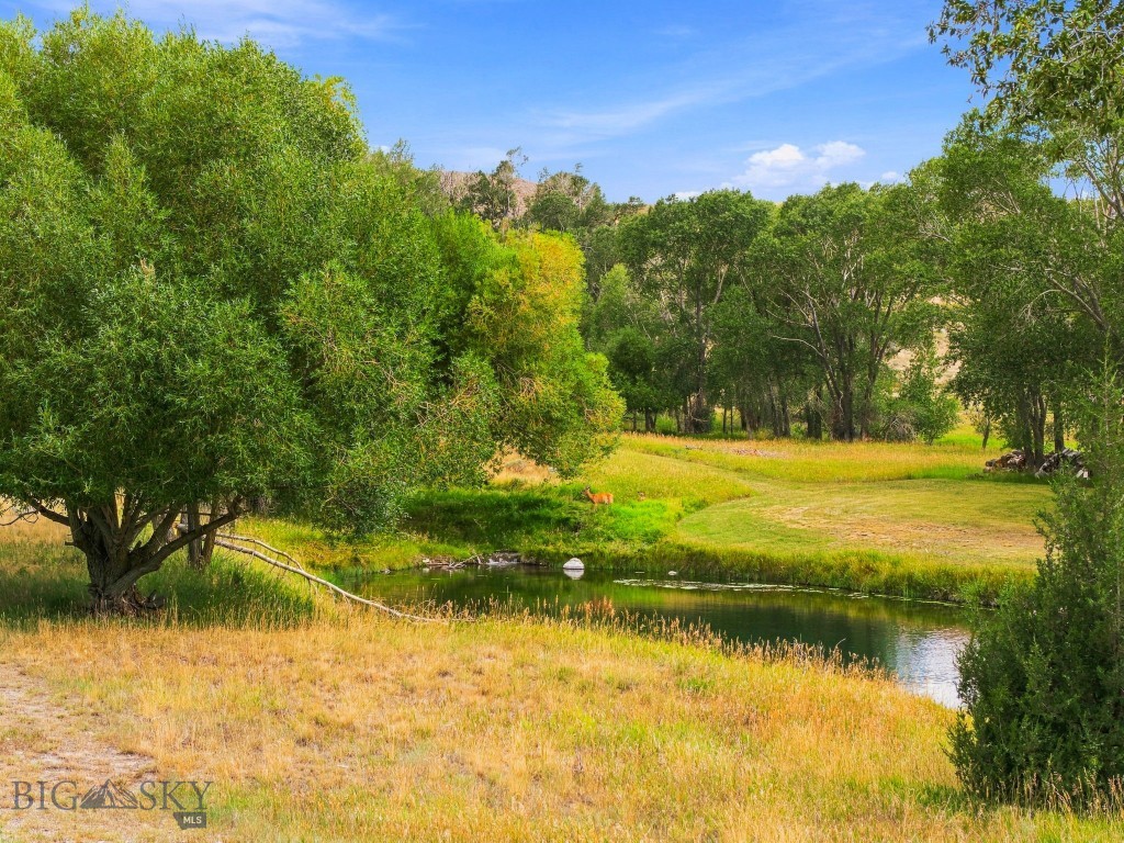 84 Gravelly Range Property Photo 14