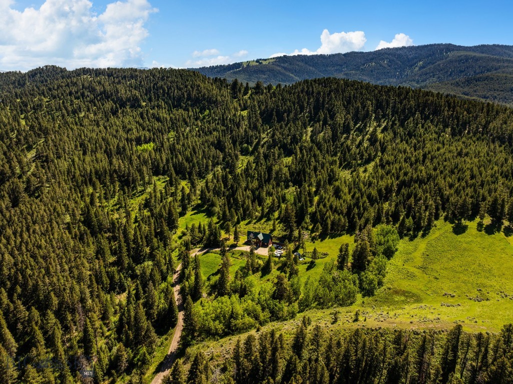 3395 Trail Creek Road Property Photo 65