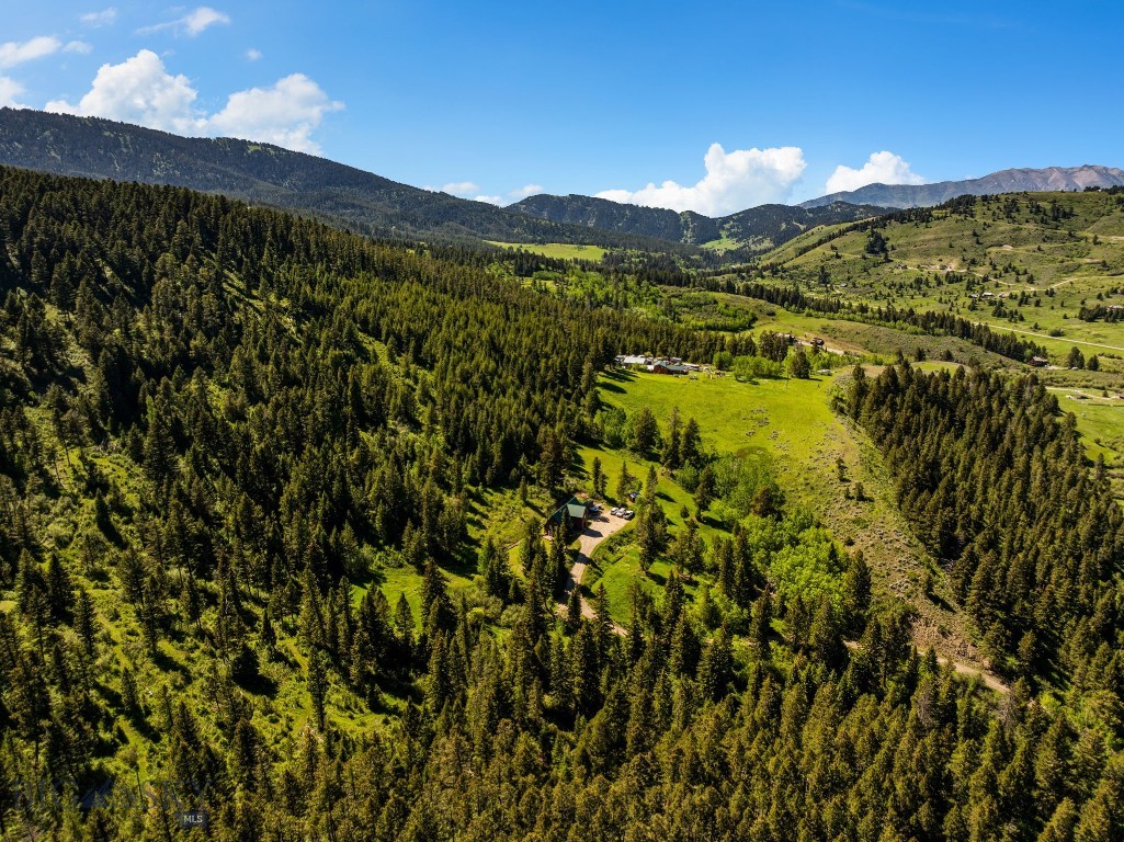 3395 Trail Creek Road Property Photo 69