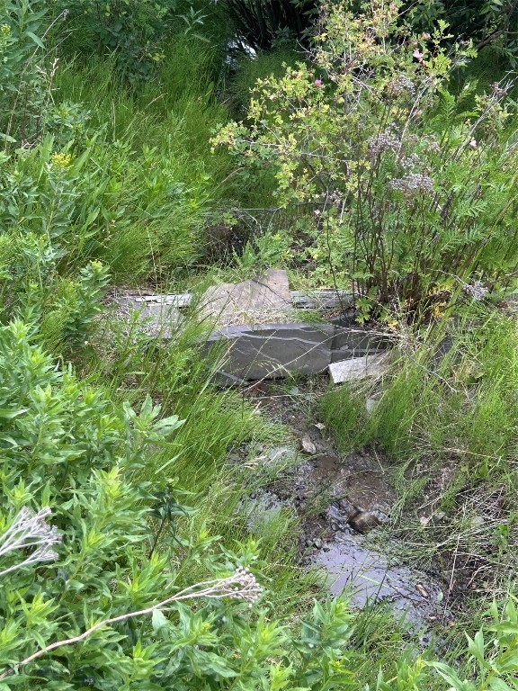 3395 Trail Creek Road Property Photo 86