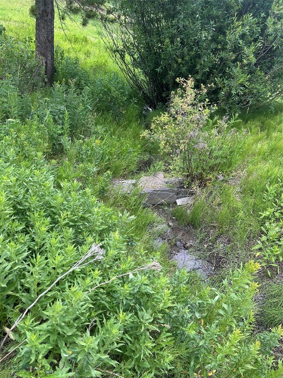 3395 Trail Creek Road Property Photo 87