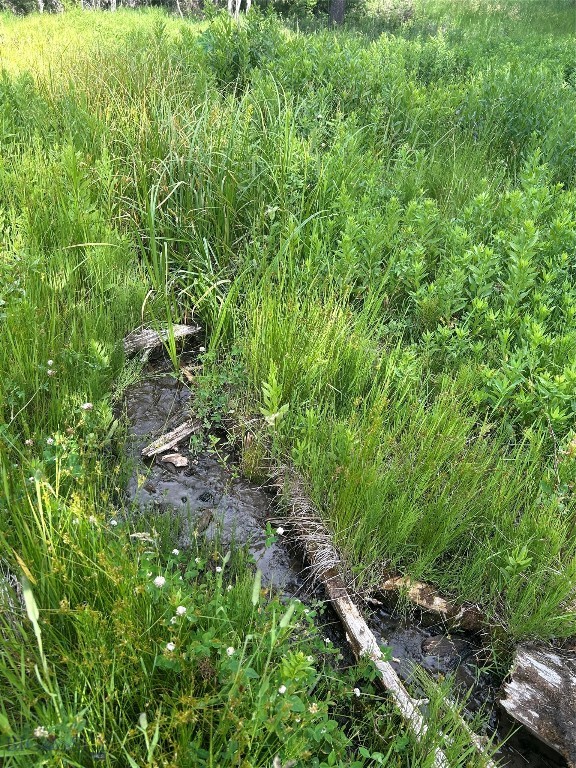3395 Trail Creek Road Property Photo 92
