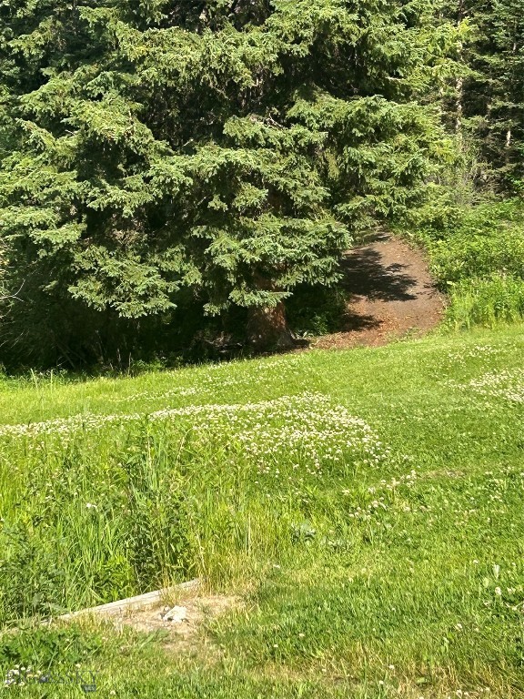 3395 Trail Creek Road Property Photo 93