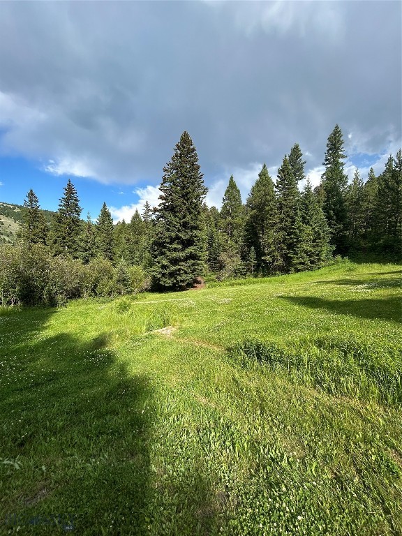 3395 Trail Creek Road Property Photo 94
