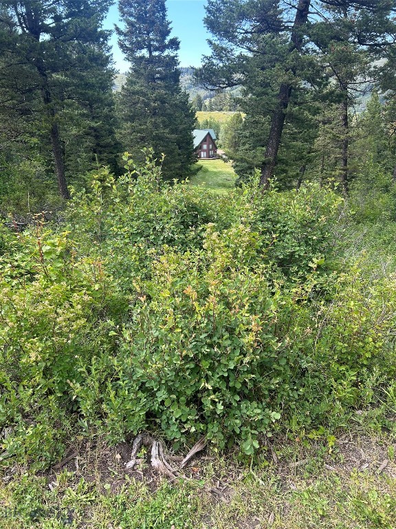 3395 Trail Creek Road Property Photo 95