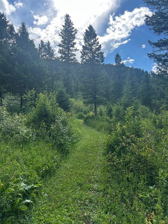 3395 Trail Creek Road Property Photo 96