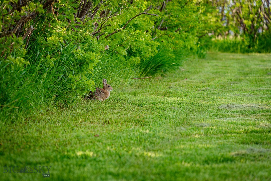 749/745 Rocky Road Property Photo 83