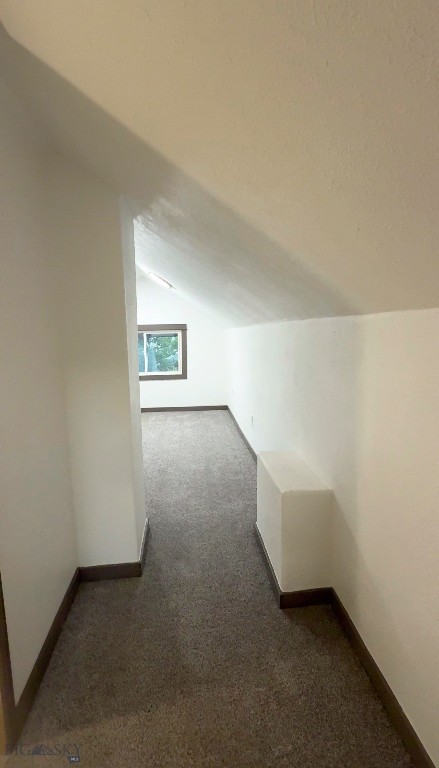 1103 W Mercury Property Photo 15