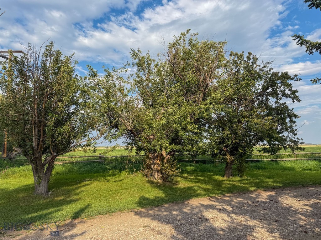 4551 Highway 287 Property Photo 68