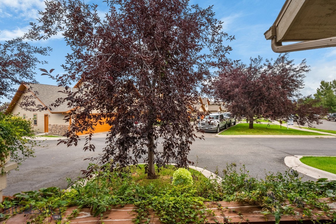 2821 Cattail Street B Property Photo 71
