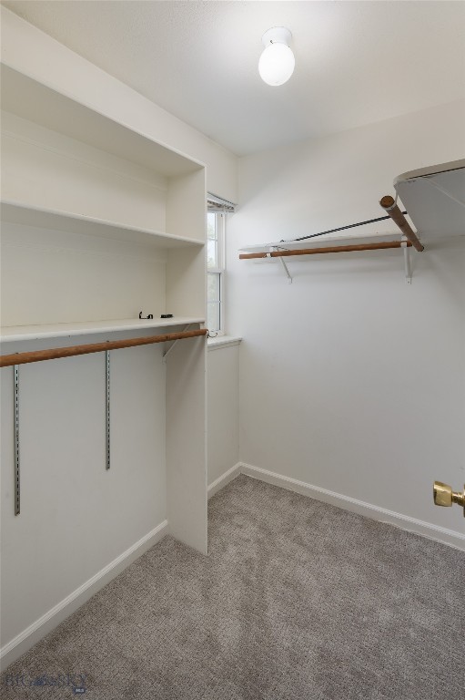 49 Michael Grove Avenue Property Photo 20