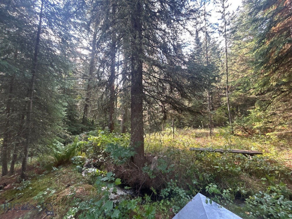 1040 Cascade Creek Road Property Photo 18