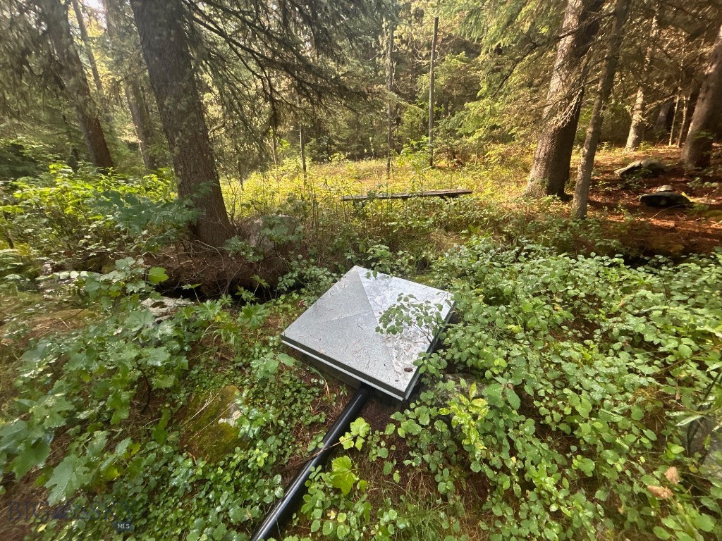 1040 Cascade Creek Road Property Photo 25