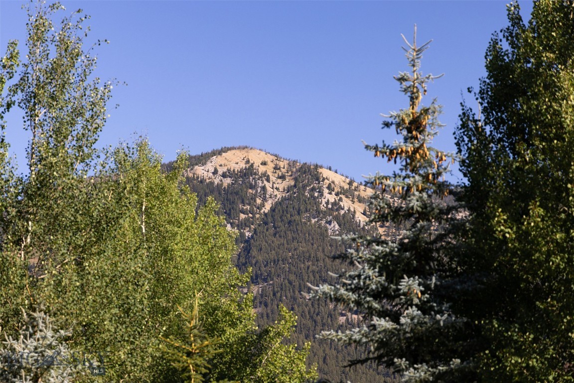 79 Crail Creek Property Photo 48