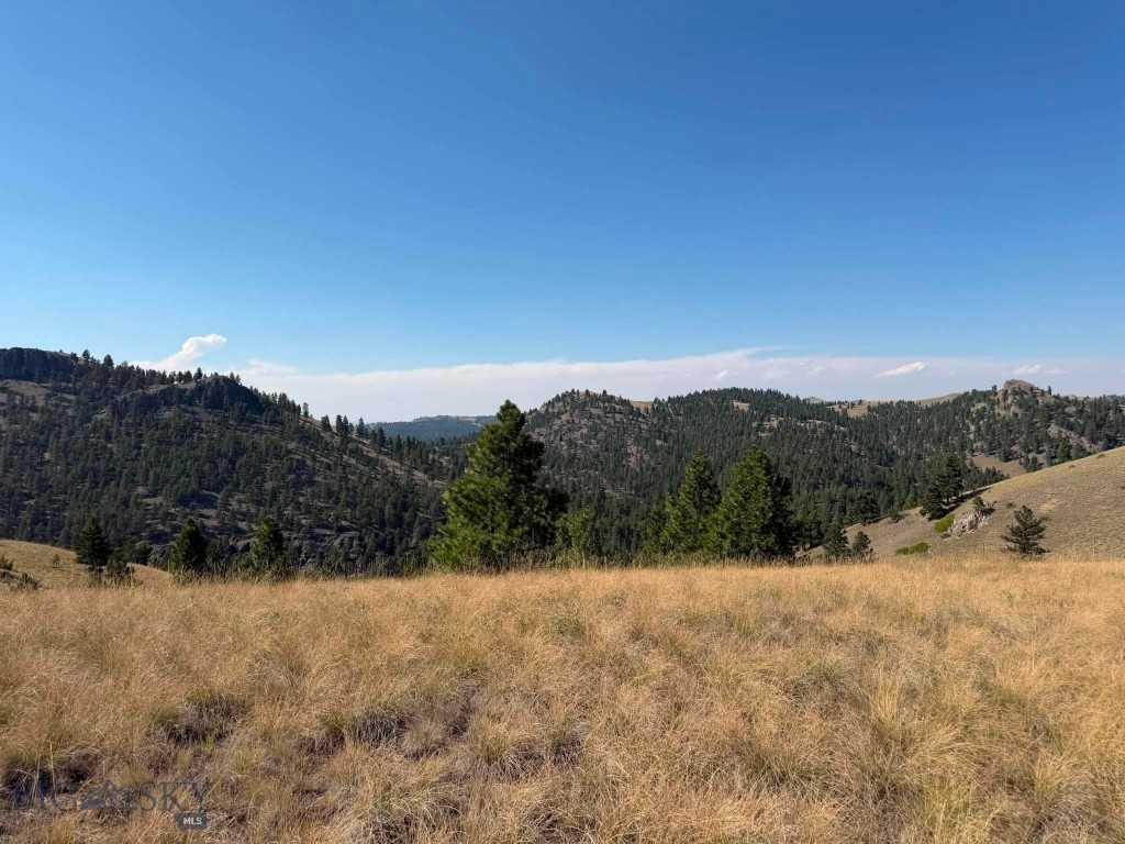 64 Lookout Point Property Photo 17