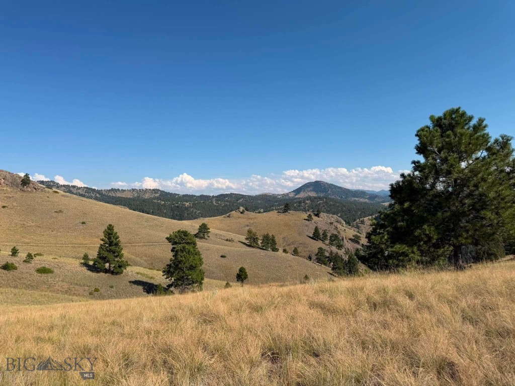 64 Lookout Point Property Photo 18