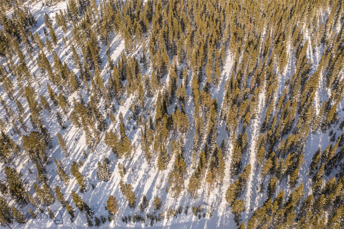 Lot 3 Lost Trails Road Property Photo 6