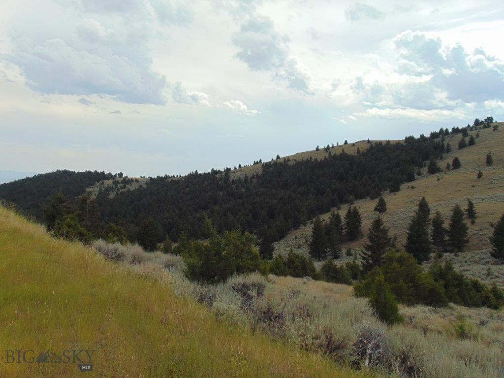Tbd West Fork Indian Creek Property Photo 5