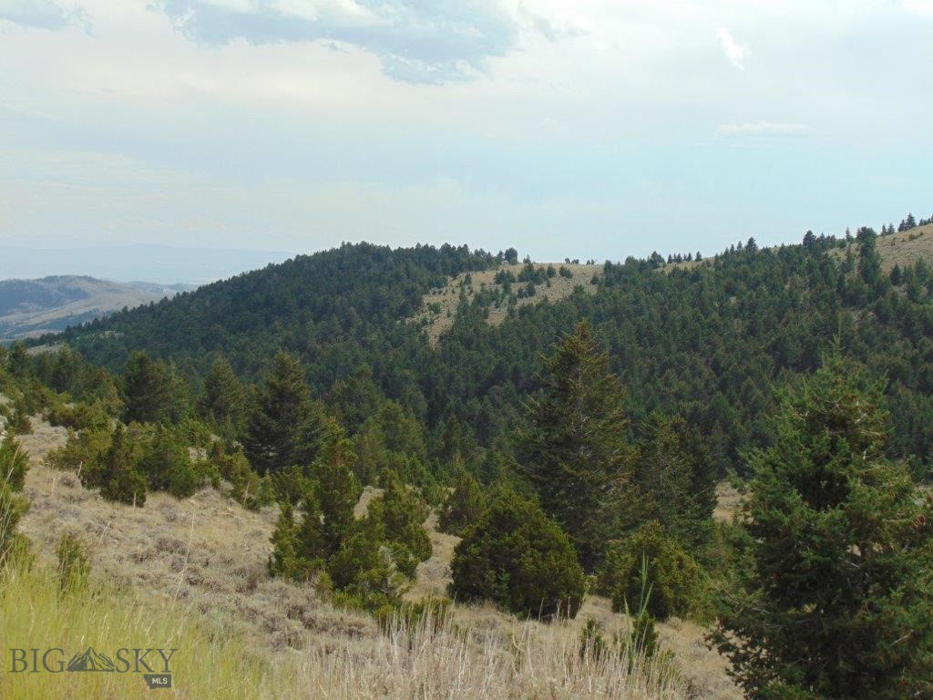 Tbd West Fork Indian Creek Property Photo 6