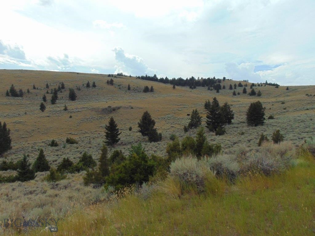 Tbd West Fork Indian Creek Property Photo 8
