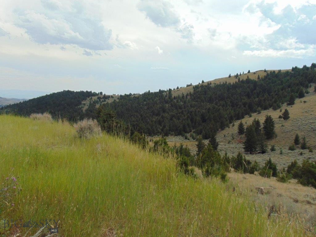 Tbd West Fork Indian Creek Property Photo 9