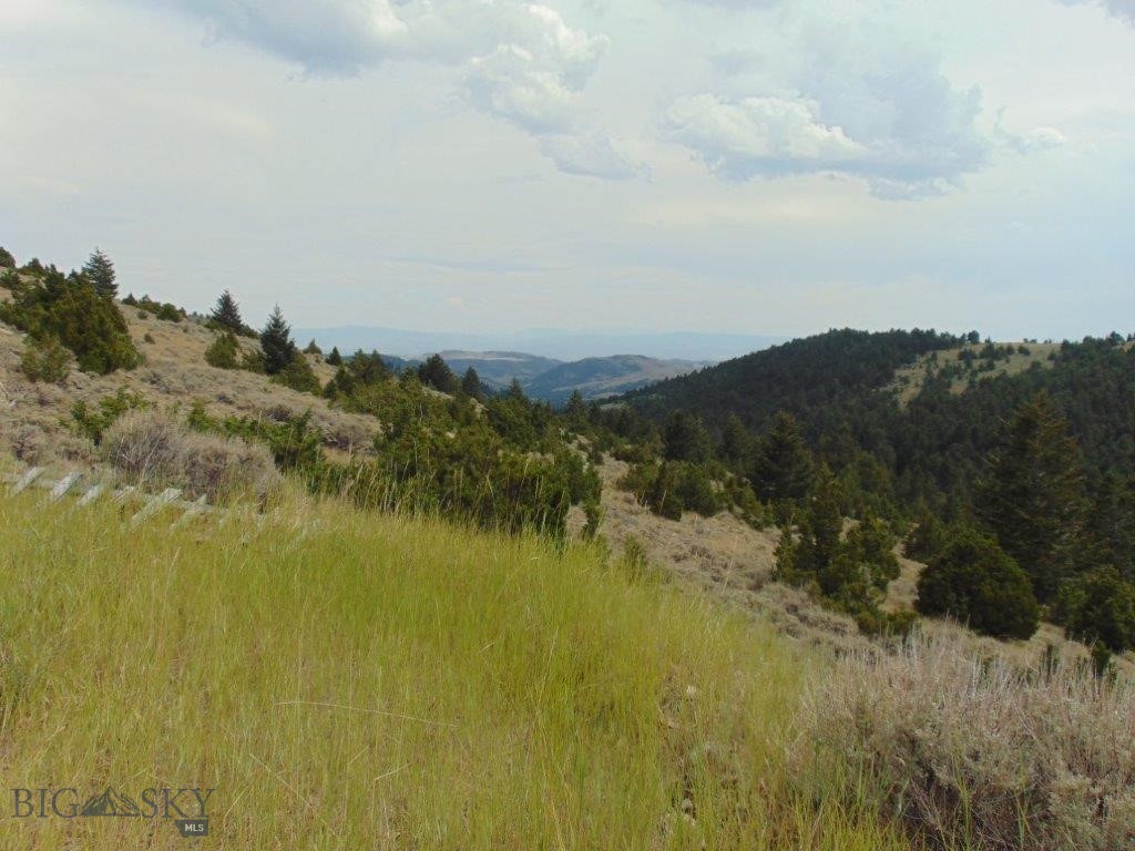 Tbd West Fork Indian Creek Property Photo 16