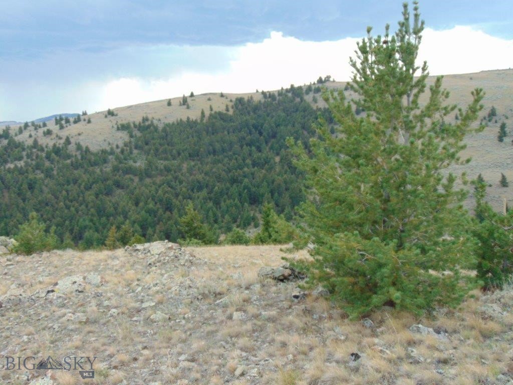 Tbd West Fork Indian Creek Property Photo 55