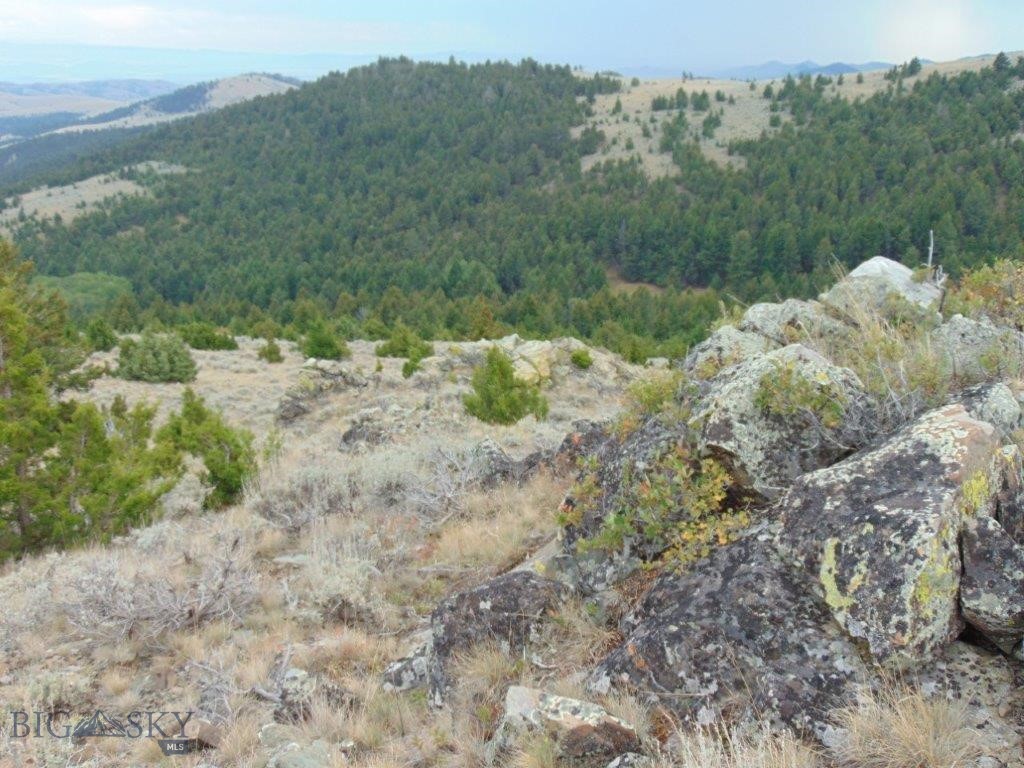 Tbd West Fork Indian Creek Property Photo 59