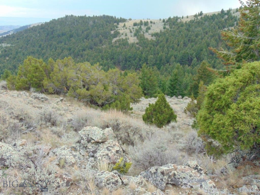 Tbd West Fork Indian Creek Property Photo 63