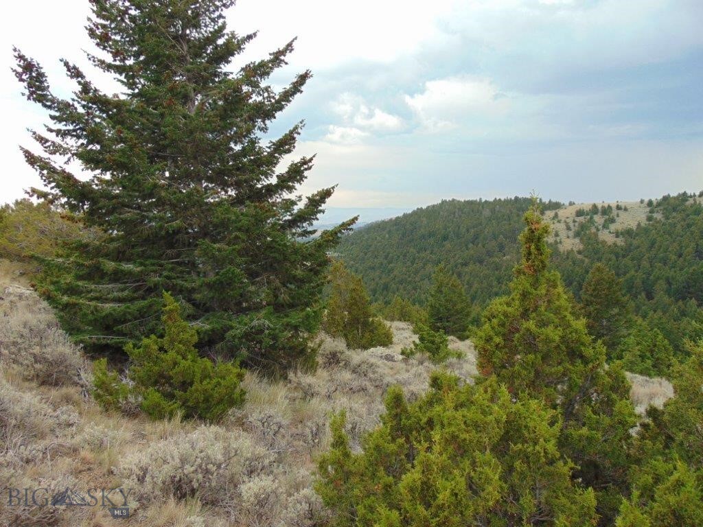 Tbd West Fork Indian Creek Property Photo 64