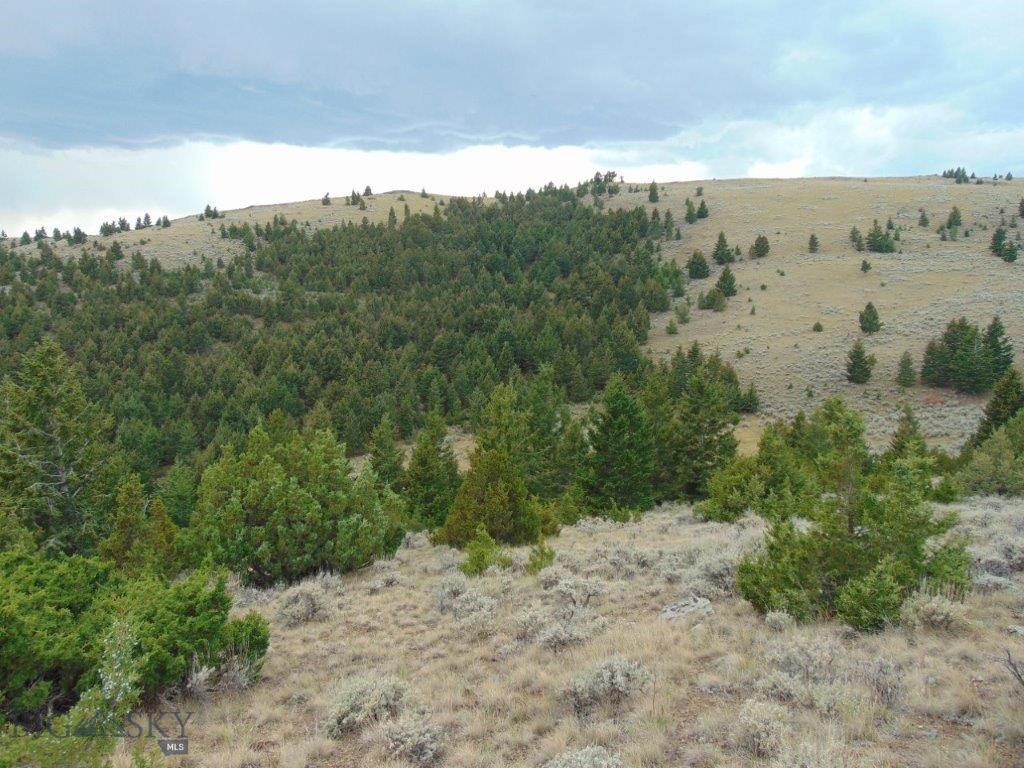 Tbd West Fork Indian Creek Property Photo 65