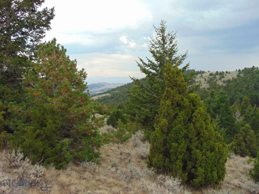 Tbd West Fork Indian Creek Property Photo 66