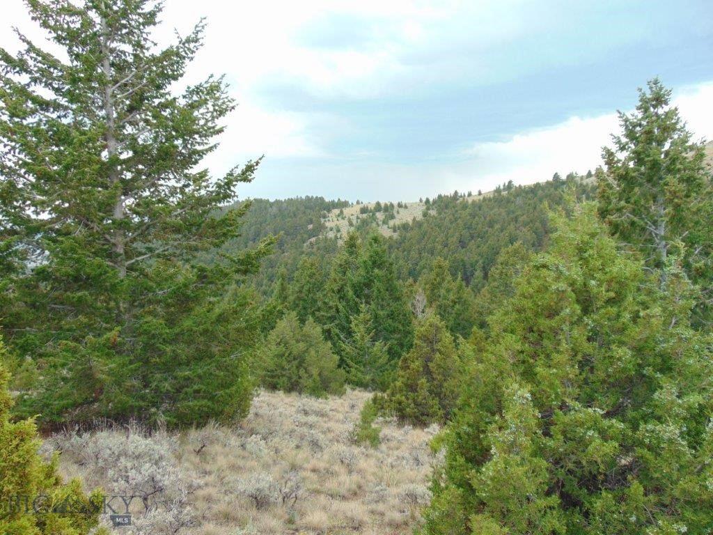 Tbd West Fork Indian Creek Property Photo 67