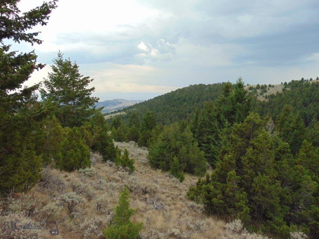 Tbd West Fork Indian Creek Property Photo 68