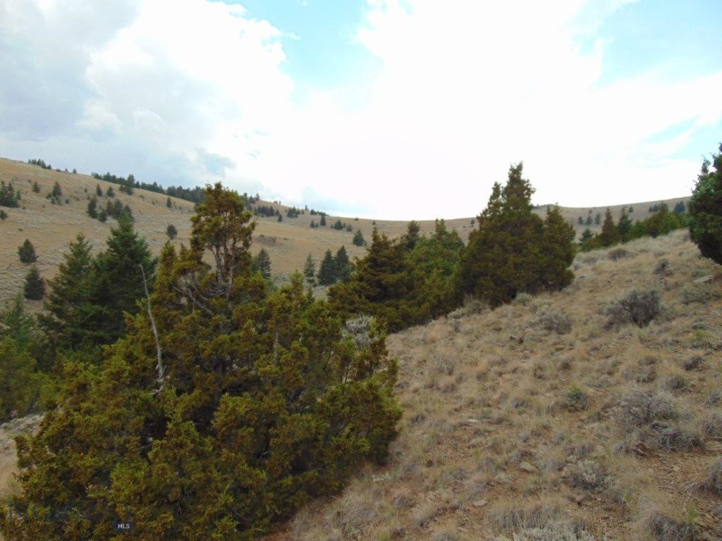 Tbd West Fork Indian Creek Property Photo 69