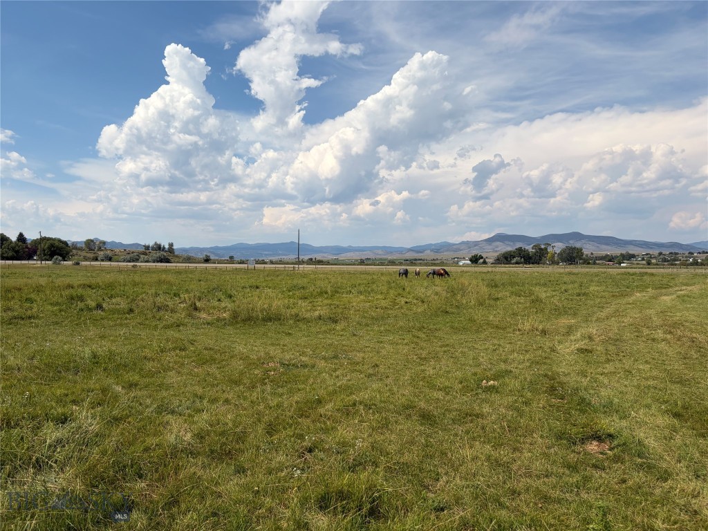 1136 Mt Highway 55 Property Photo 21