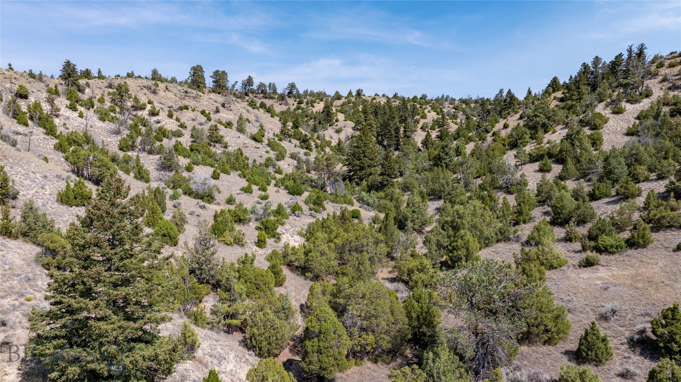 729 Us Hwy 12 E Property Photo 31