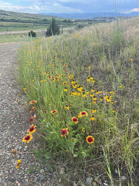 729 Us Hwy 12 E Property Photo 52