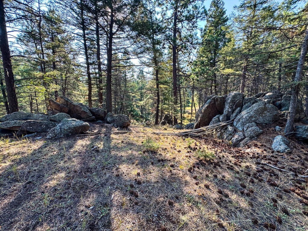 93 Saddle Mountain Drive Property Photo 4