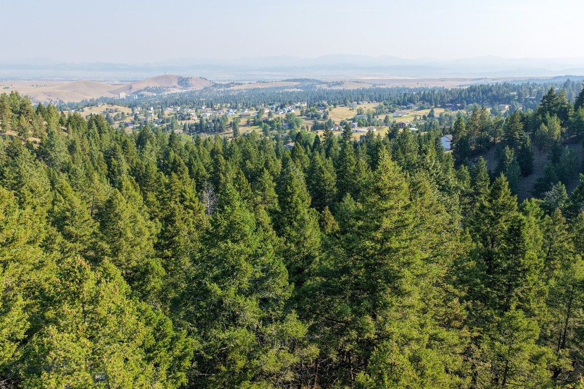 93 Saddle Mountain Drive Property Photo 8