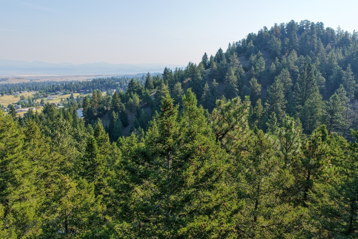 93 Saddle Mountain Drive Property Photo 9
