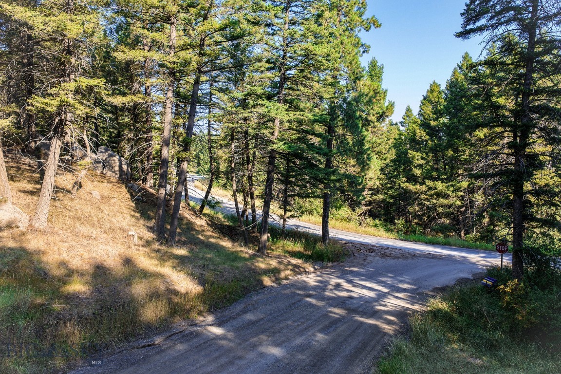 93 Saddle Mountain Drive Property Photo 10