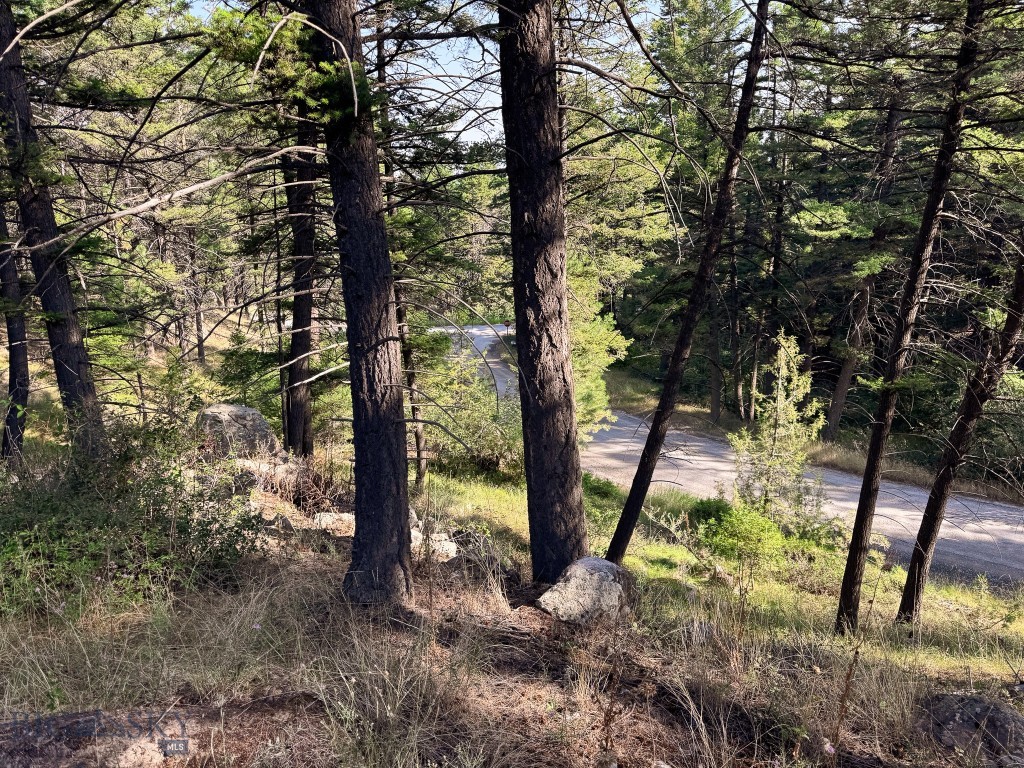 93 Saddle Mountain Drive Property Photo 13