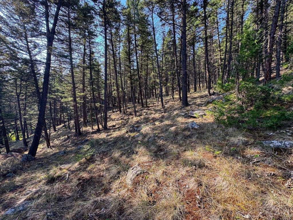 93 Saddle Mountain Drive Property Photo 16